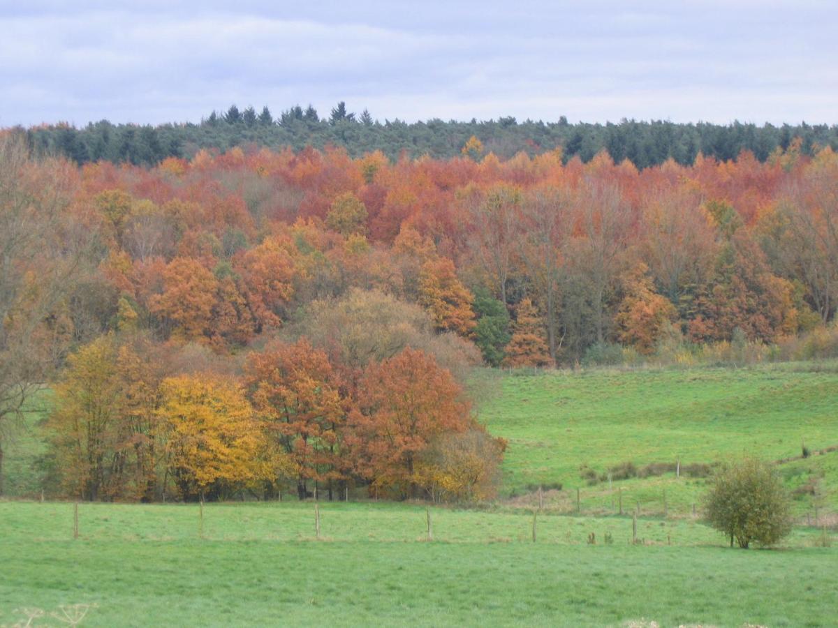 Hallerbos B&B In Bluebell Forest Halle  Exterior photo