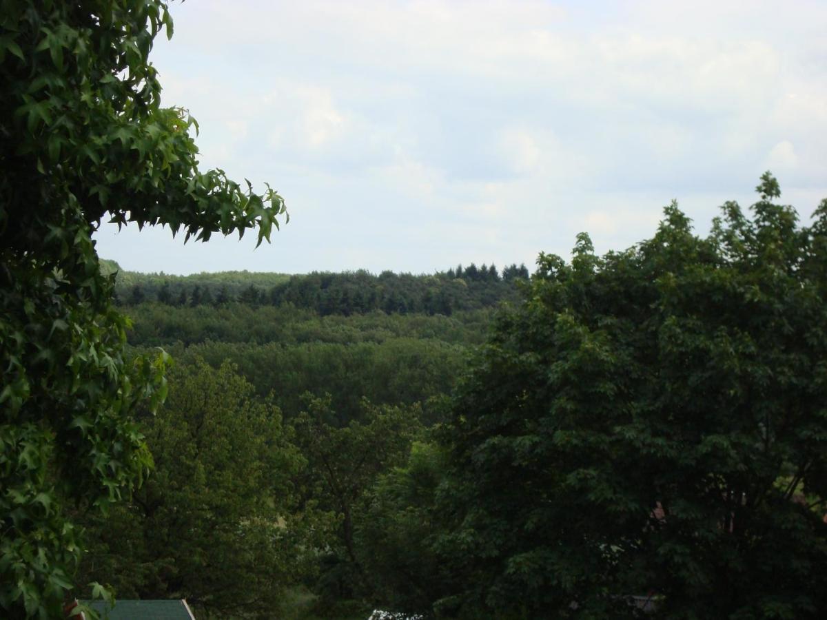 Hallerbos B&B In Bluebell Forest Halle  Exterior photo